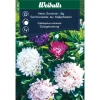 Frø^Weibulls Asters lav sommer