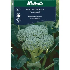 Frø^Weibulls Brokkoli - Calabrese