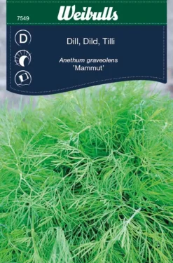 Frø^Weibulls Dill 'Mammut'