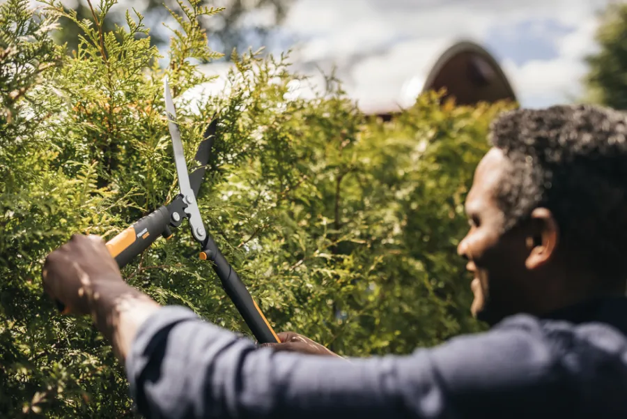 Beskjæring^Fiskars Powergearx hekksaks hsx92
