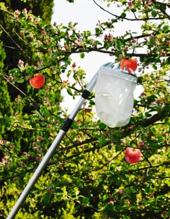 Tilbehør Til Fruktpressing Og Sylting^Garden Fruktplukker med beholder - ®