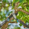 Beskjæring^Gardena grensaks EnergyCut Pro L