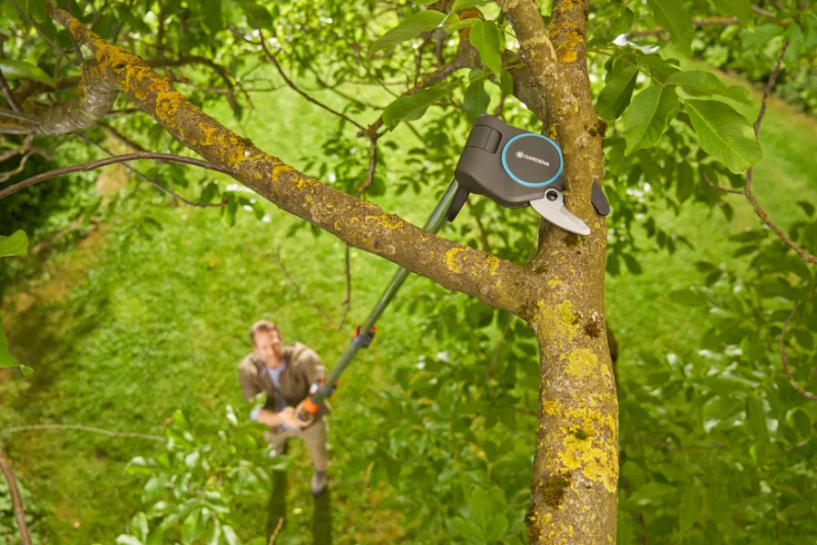 Beskjæring^Gardena toppsaks StarCut Pro L