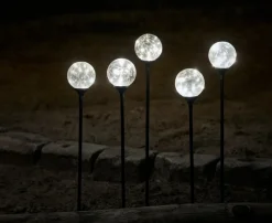 Dekorativ Belysning - Innendørs^Stemning Glasskuler på spyd 50 LED 5-pk.