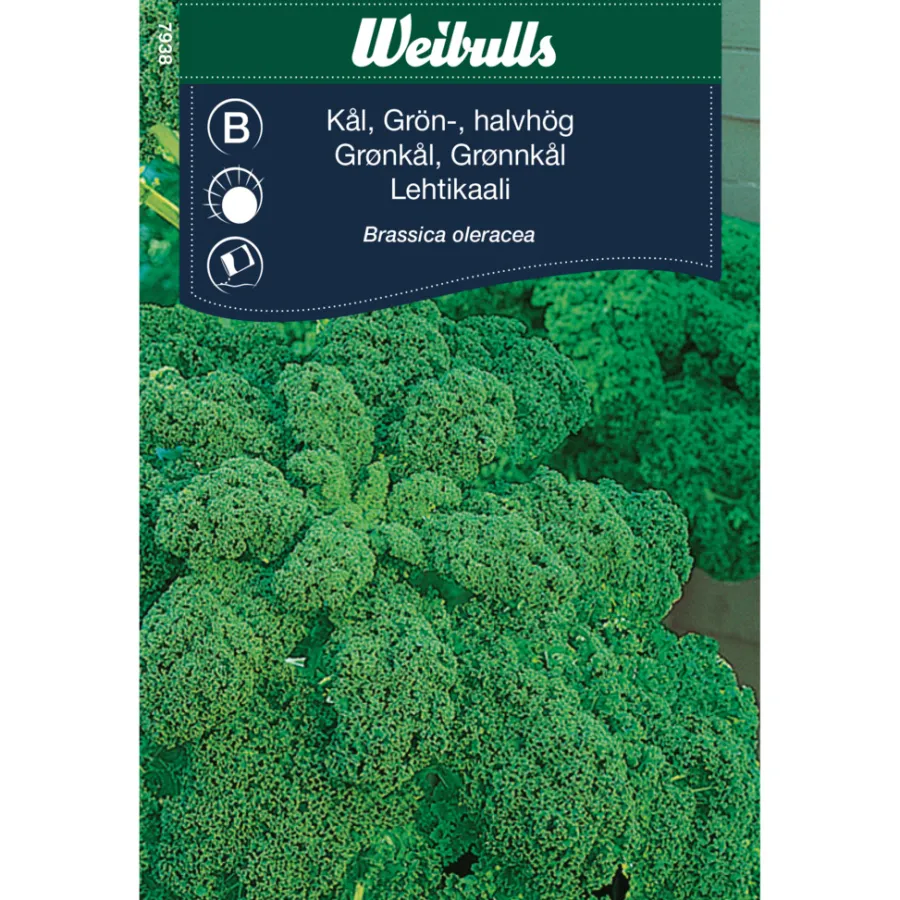 Frø^Weibulls Grønnkål 'Westlandse Herfst'