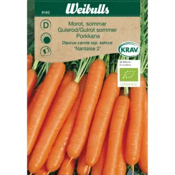 Økologiske Frø^Weibulls Gulrot, sommer økologisk - Nantaise 2