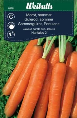 Frø^Weibulls Gulrot, sommer 'Nantaise 2'