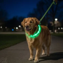 Hunde- Og Katteartikler^Petzone Halsbånd med LED grønn 20-60 cm