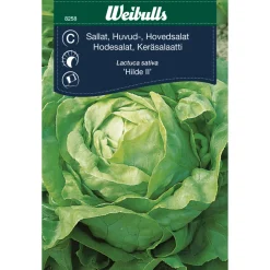 Frø^Weibulls Hodesalat 'Hilde II'