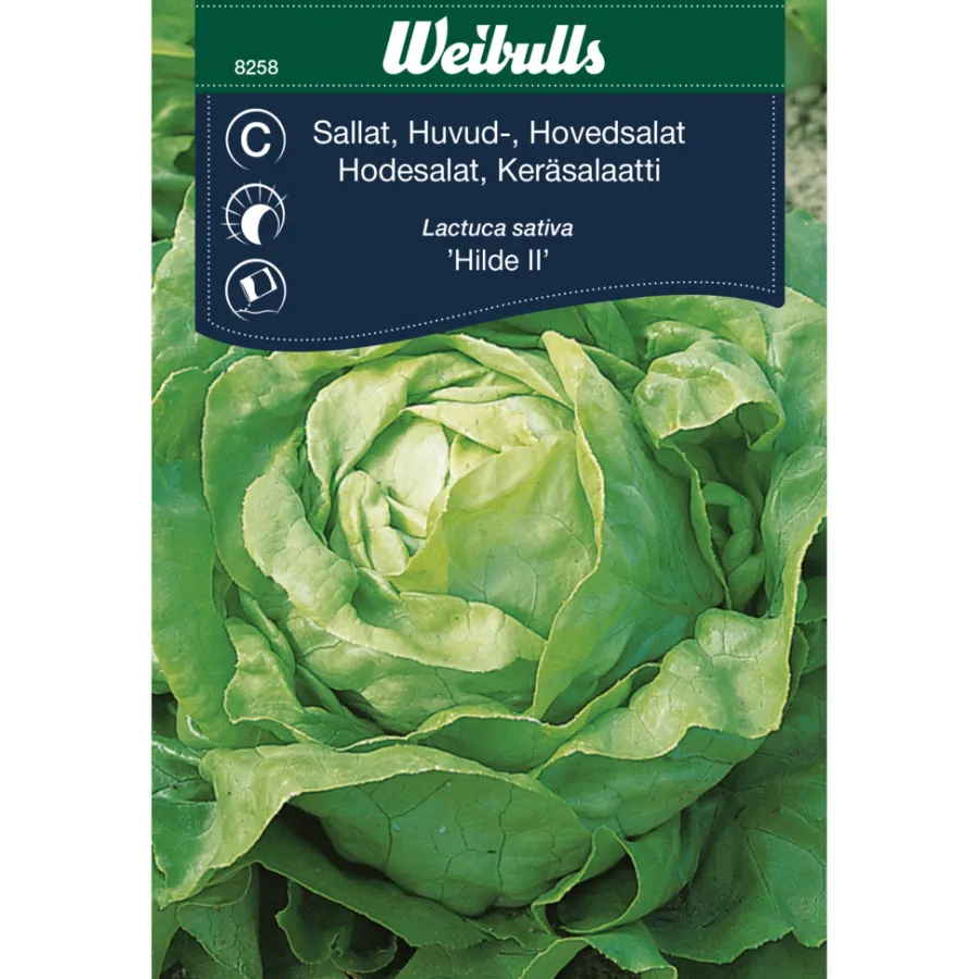 Frø^Weibulls Hodesalat 'Hilde II'
