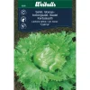 Frø^Weibulls Isbergsalat 'Calmar'