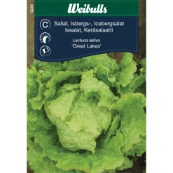 Frø^Weibulls Isbergsalat 'Great Lakes'