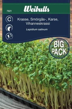 Frø^Weibulls Karse stor pose