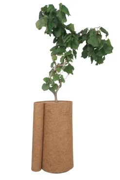 Vinterbeskyttelse Til Planter^Garden Kokosmatte 50 x 150 cm - ®