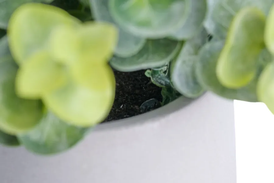 Kunstige Planter^ Kunstig buksbom H19 cm Grå og grønn