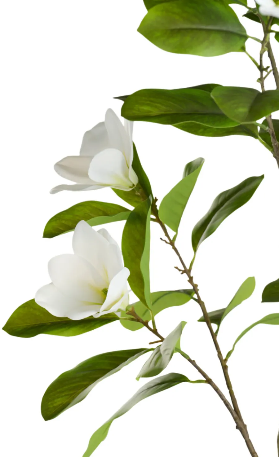 Kunstige Planter^ Kunstig magnoliatre 110 cm