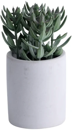 Kunstige Planter^ Kunstig plante tetragona H19 cm Grå og grønn