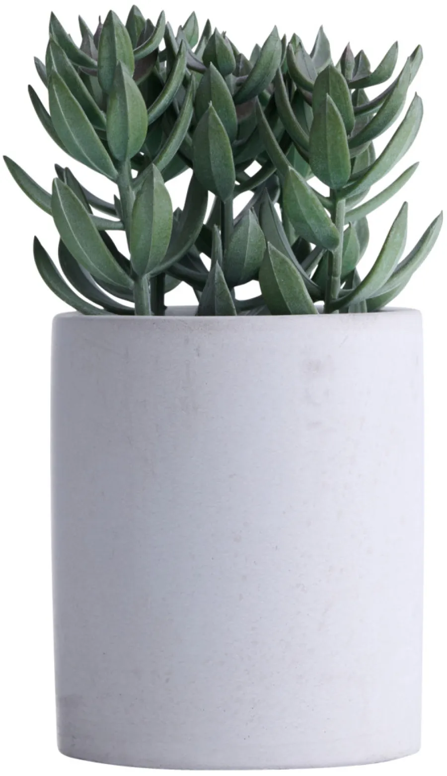 Kunstige Planter^ Kunstig plante tetragona H19 cm Grå og grønn