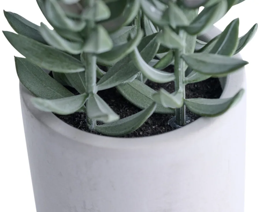Kunstige Planter^ Kunstig plante tetragona H19 cm Grå og grønn