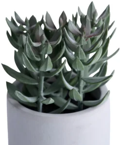 Kunstige Planter^ Kunstig plante tetragona H19 cm Grå og grønn