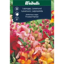 Frø^Weibulls Løvemunn - Frosted Flames