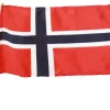 Flagg & Tilbehør Til Flaggstang^Festplassen 17. mai flagg 20 x 28 cm