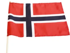 Flagg & Tilbehør Til Flaggstang^Festplassen 17. mai flagg 20 x 28 cm