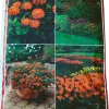Jord^ Plantejord 40 liter