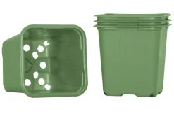 Forspiring^Weibulls Plantepotter 8 cm - 20 stk. Grønn