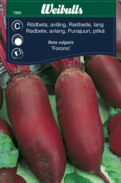 Frø^Weibulls Rødbeter lang cylindra