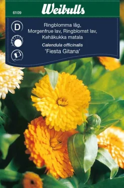 Frø^Weibulls Ringblomst lav 'Fiesta Gitana' Oransjegul