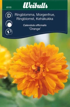 Frø^Weibulls Ringblomst "Orange" Oransje