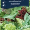 Frø^Weibulls Salatblanding 'Baby Leaf'