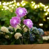 Dekorativ Belysning - Utendørs|Solcellelamper^Garden Solcelleblomst Hortensia – ®