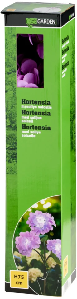 Dekorativ Belysning - Utendørs|Solcellelamper^Garden Solcelleblomst Hortensia – ®