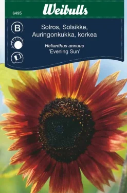 Frø^Weibulls Solsikke "Evening Sun" Rødbrune nyanser