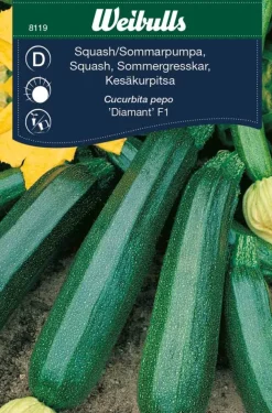 Frø^Weibulls Squash, sommer 'Diamant F1'