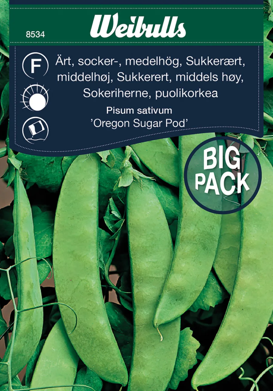 Frø^Weibulls Sukkerert høy 'Oregon Sugar Pod'