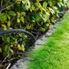 Hageslanger Og Tilbehør^Garden Svetteslange 1/2" med 2 Lux-koblinger 15 meter – ®